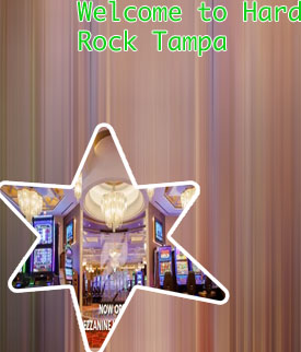 Hard rock casino tampa payout